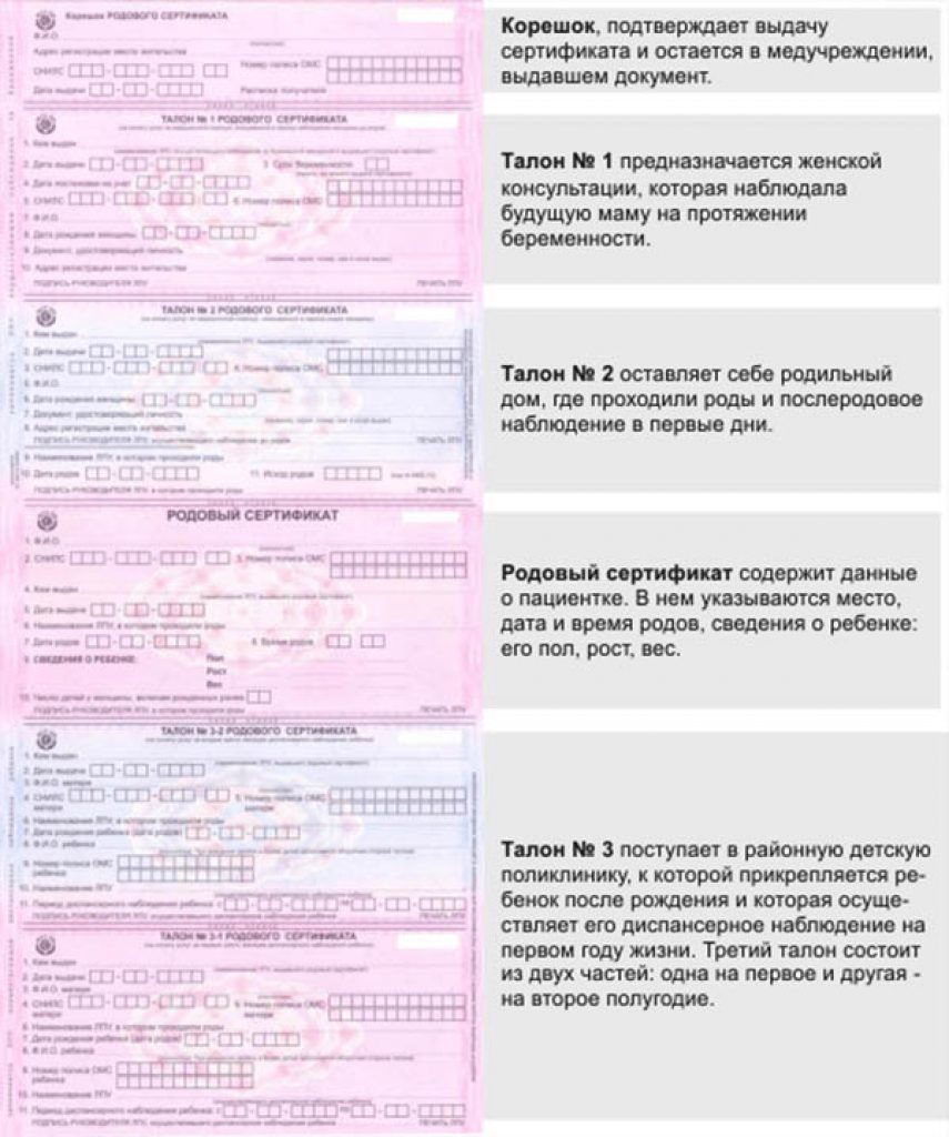Как выглядит сертификат на ребенка Родовой сертификат в 2023 году: сумма за первого ребенка